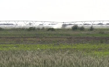 Сыр диқандары тамшылатып суаруға көшіп жатыр