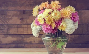 Букеты на 8 Марта: какие цветы не завянут даже через неделю