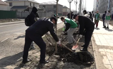 Наурызнама:  Жаңару күнінде алматылықтар көшет отырғызды