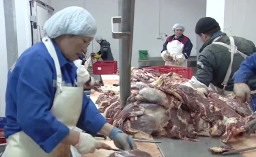 Азық-түлік бағасы неге қымбаттады - министр жауап берді