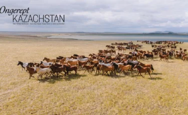 Еуропада бельгиялық Porschist журналының Қазақстанға арналған арнайы саны жарық көрді