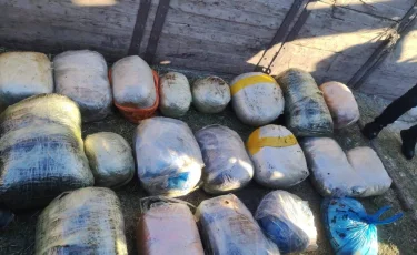 Спрятал в тайнике: более 200 кг наркотиков изъято в Костанайской области