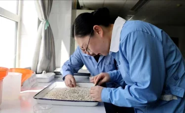 Депутат ВСНП Ли Лань: Инфраструктурное обеспечение укрепляет пограничные пункты, создавая новую основу для открытости