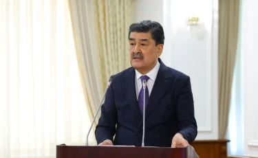 Қазақстанда жердің тозуын болдырмау үшін қорғаныш орман белдеулері жүйесі құрылады