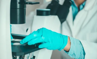 Эпигенетика и наследование травм: что мы знаем о генетической памяти