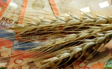 Казахстанский АПК бьет рекорды: экспорт превысил $7 млрд