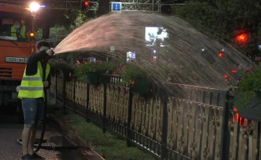 Алматыда жасыл желектердің сапасын бақылау жұмысы қарқынды жалғасып жатыр