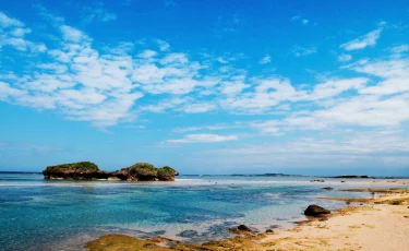 Феномен долголетия Окинавы: как питание и философия икигай продлевают жизнь