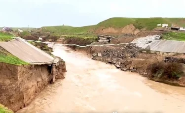 Түркістан облысында суға құлаған баланы іздестіру шаралары жалғасуда