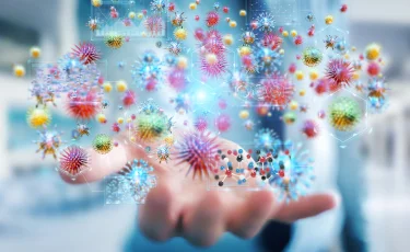 Микромир вокруг нас: как невидимые бактерии влияют на нашу жизнь каждый день