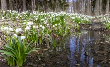 Опасности, подстерегающие нас весной: что нельзя делать в этот период