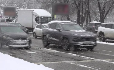 Екі жылда 25 мыңға жуық еуропротокол толтырылды