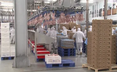 Казахстан наращивает экспорт агропродукции