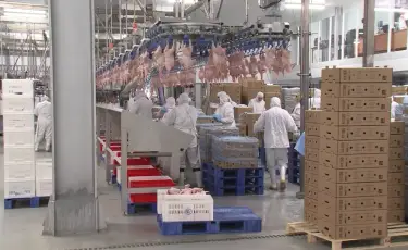 Казахстан наращивает экспорт агропродукции