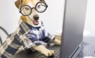 Праздник против стереотипов: 4 марта - Международный день очкарика