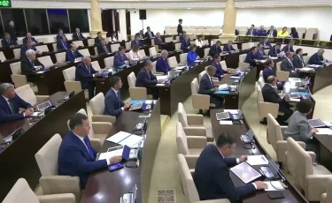 Бала күтімінде отырған жұмыссыз әкелерге еңбек өтілі есептеледі: Сенат заңды мақұлдады