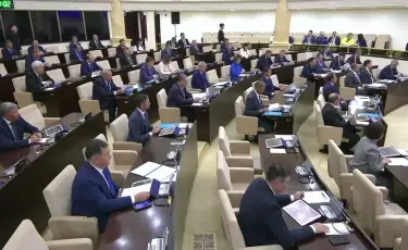 Бала күтімінде отырған жұмыссыз әкелерге еңбек өтілі есептеледі: Сенат заңды мақұлдады