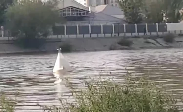 Атырауда балықшылар көпірден секірген бойжеткенді құтқарып алды