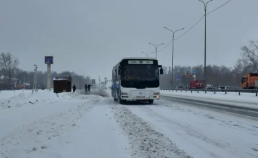 Транспортная проблема: жители СКО требуют наладить автобусное сообщение с городом