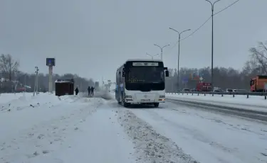 Транспортная проблема: жители СКО требуют наладить автобусное сообщение с городом