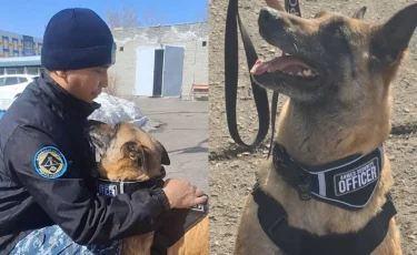 Верный напарник: в Караганде служебную собаку проводили на заслуженный отдых