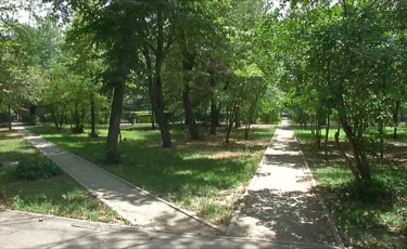 Умный учет: деревья и кустарники города оцифровывают с помощью дронов