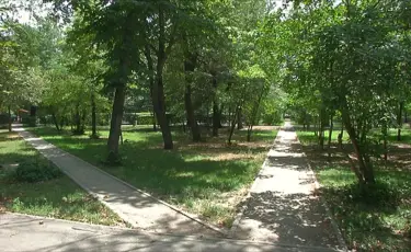 Умный учет: деревья и кустарники города оцифровывают с помощью дронов