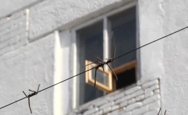 Атырауда сотталушылар арасында жанжал шығып, бірі оқиға орнында көз жұмды