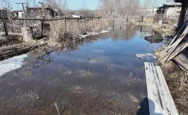 Петропавлда қар еріп, тұрғын үйлердің жертөлесін су басып қалды