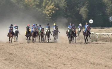 Наурызнама: 20 марта в Казахстане отмечается Ұлттық спорт күні – День национального спорта