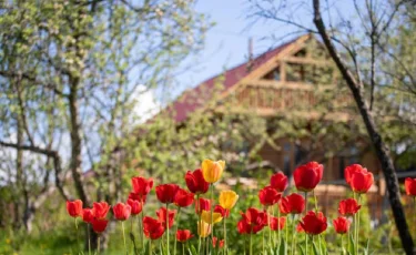 Алматы облысында қандай саяжайлар қала мен ауыл құрамына енді