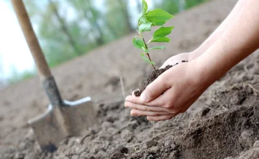 Наурызнама: 19 марта в Казахстане отмечают Жаңару күні - День обновления