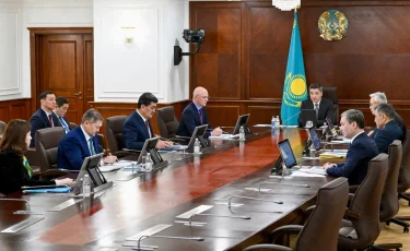 Более 1,6 млрд высаженных деревьев и лесомелиорация: как реализуют «Таза Қазақстан»