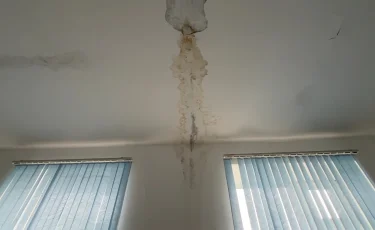 Жамбыл облысында ауыл балалары тозған мектепте білім алуға мәжбүр