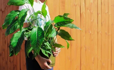 Как реанимировать "женское счастье": специалист дает несколько советов