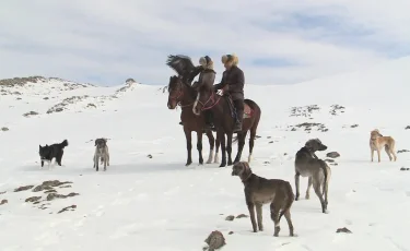 Наследие на крыльях беркута: как юные казашки возрождают древнее искусство охоты