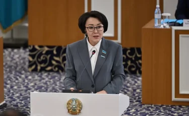 Референдум ел азаматтарында саяси серпіліс барын аңғартты - депутат