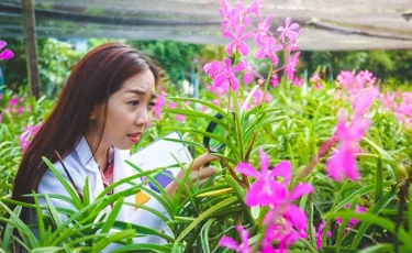 Әйелдер туралы қызықты ғылыми деректер