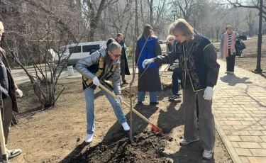 Алматыда Жаңару күнінде 400-ден астам ағаш егілді