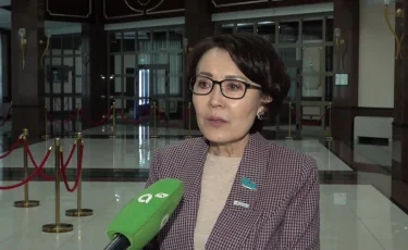 Унзила Шапак: мы станем свидетелями этого процесса