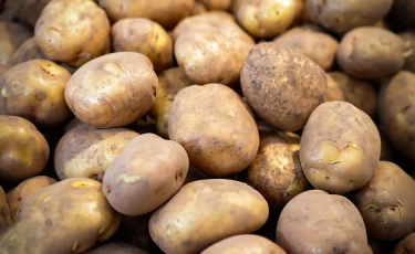 В Казахстане не станут вводить запрет на экспорт картофеля