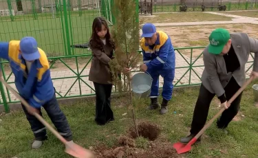 Жаңару күні: Шымкентте «Мың ағаш» челленджі басталды