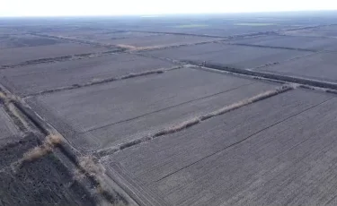 Түркістан облысында иесіз жатқан учаскелер мемлекет меншігіне қайтарылды