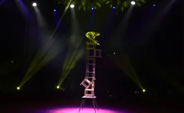 Наурыз ШОУ: Алатау ауданында цирк әртістері қойылымы қойды