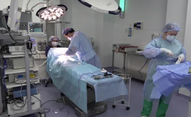 Әр минут қымбат: Алматыдағы балалар ауруханасында 20 реаниматолог жұмыс істейді