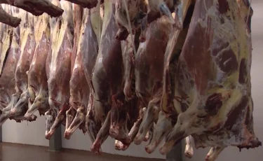 В Астане накрыли подпольный цех по переработке и сбыту мяса