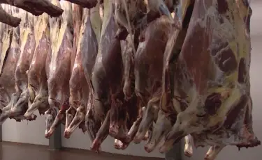 В Астане накрыли подпольный цех по переработке и сбыту мяса