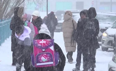 Снова непогода: в каких областях Казахстана школьников перевели на "удаленку"