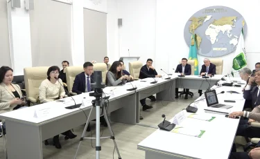 Алматыда ірі ағаштарды егу ауқымы кеңеймек