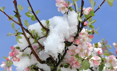 Причина в циклоне и атмосферных фронтах: какой будет погода в стране в выходные дни
